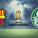 Ver partido EN VIVO Barcelona vs Palmeiras por Copa Libertadores 2023